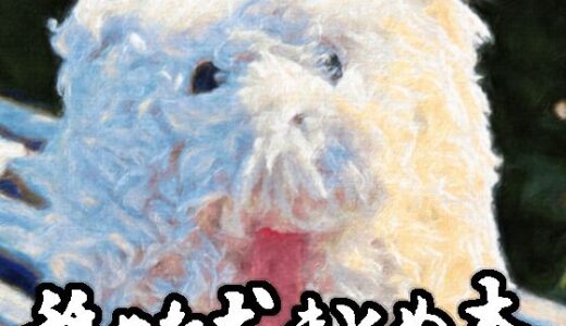 舐めた犬まとめ本 無料エロ漫画 raw